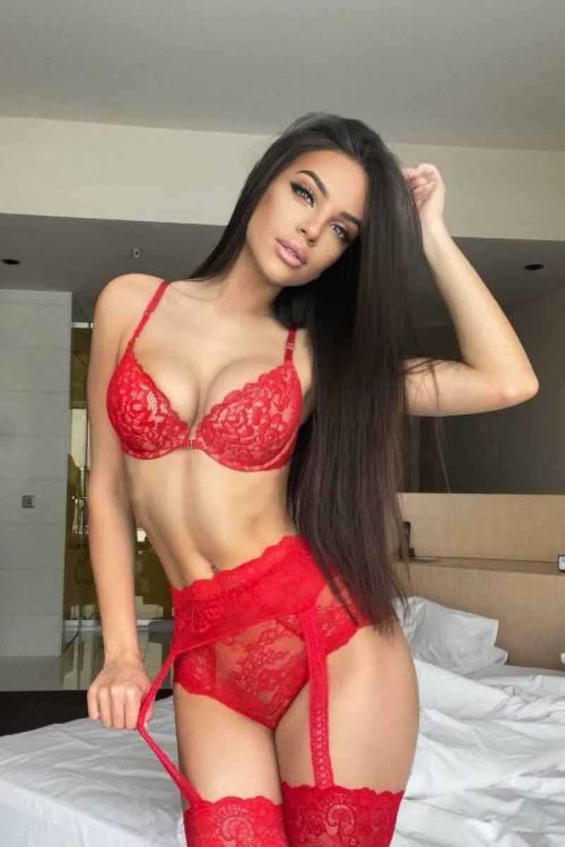 Rose - mature companion
