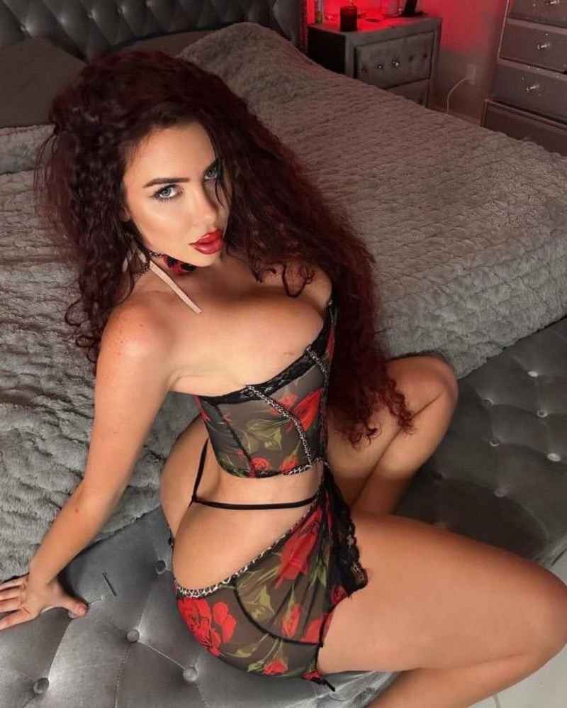 Dawn - mature companion